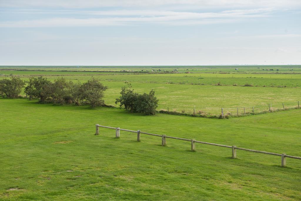 De Oranjerie Buren (Friesland) Exterior foto